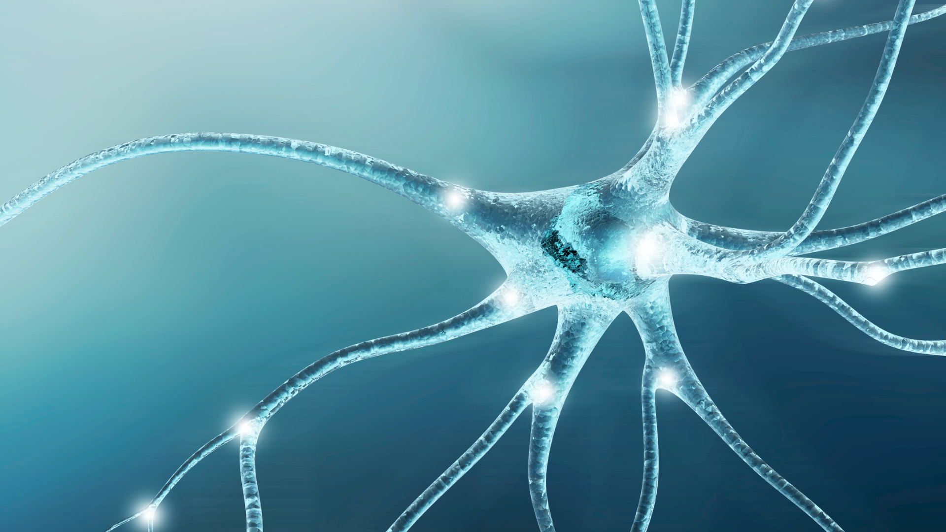 Comprendiendo el TDAH en Adultos: Señales que Podría Haber Pasado por Alto