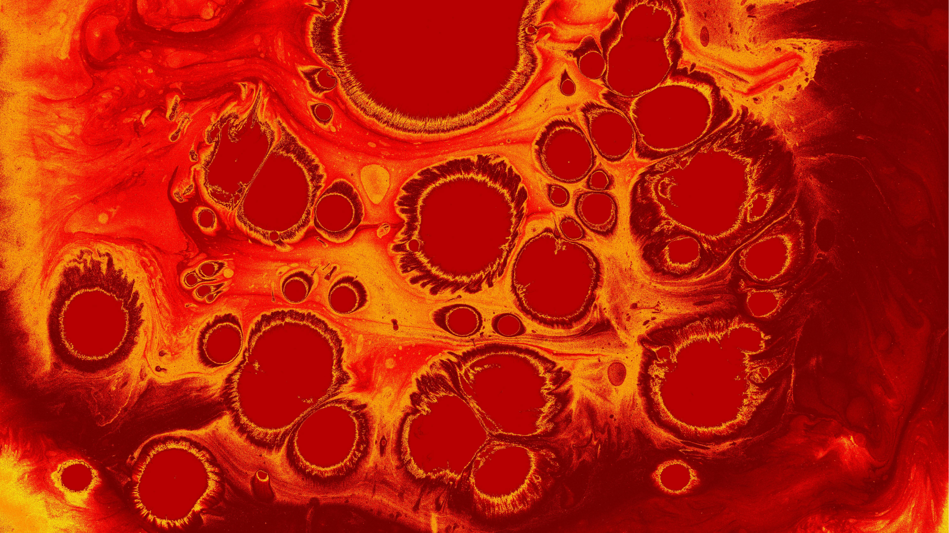 Cómo Elegir una Clínica de Fertilidad: 8 Preguntas Que Debe Hacer