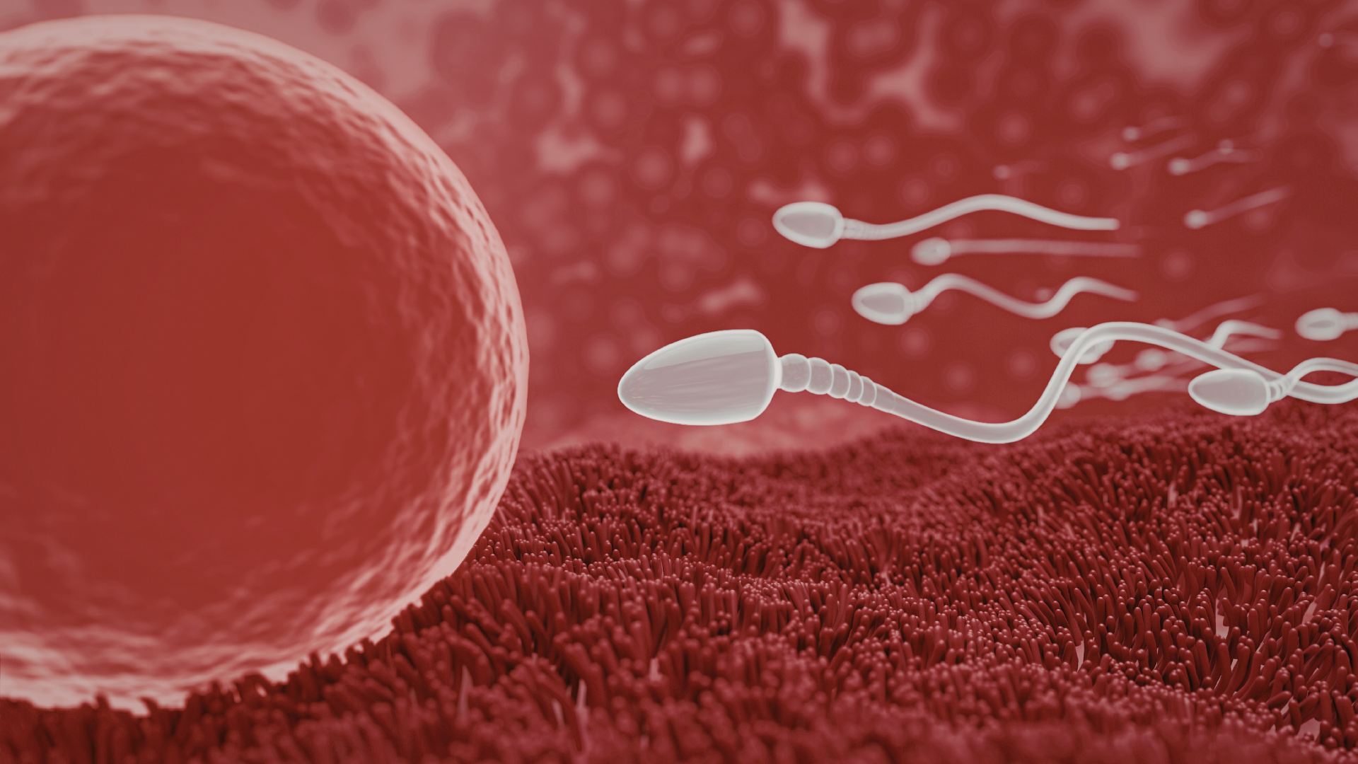 Congelación de Óvulos a los 30 vs 35: Lo que Dicen los Datos